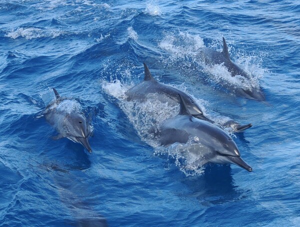 사진 = 괌정부관광청 