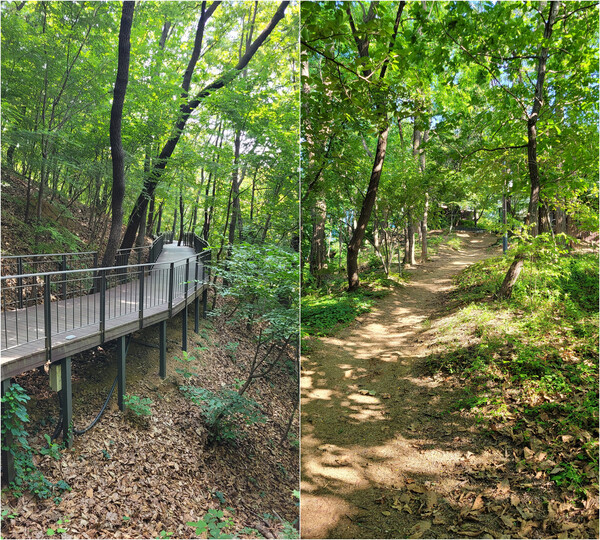 매봉길 전경. 사진 = 안병국 객원기자