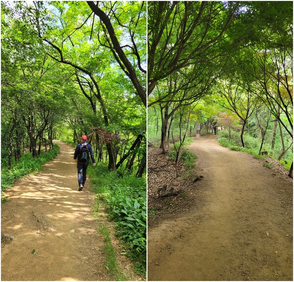 봉산해맞이길 풍경(왼쪽), 봉산해맞이길 풍경(오른쪽). 사진 = 안병국 객원기자