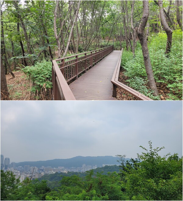 무장애숲길 전경(위), 서리풀공원 전망대에서 바라본 우면산 전경(아래). 사진 = 안병국 객원기자