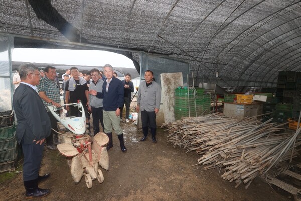 강호동 농협중앙회장(가운데)이 지난 20일 시설물 침수피해를 입은 익산시 토마토 농가를 찾아 현장상황을 살피고 있다. 사진=농협중앙회