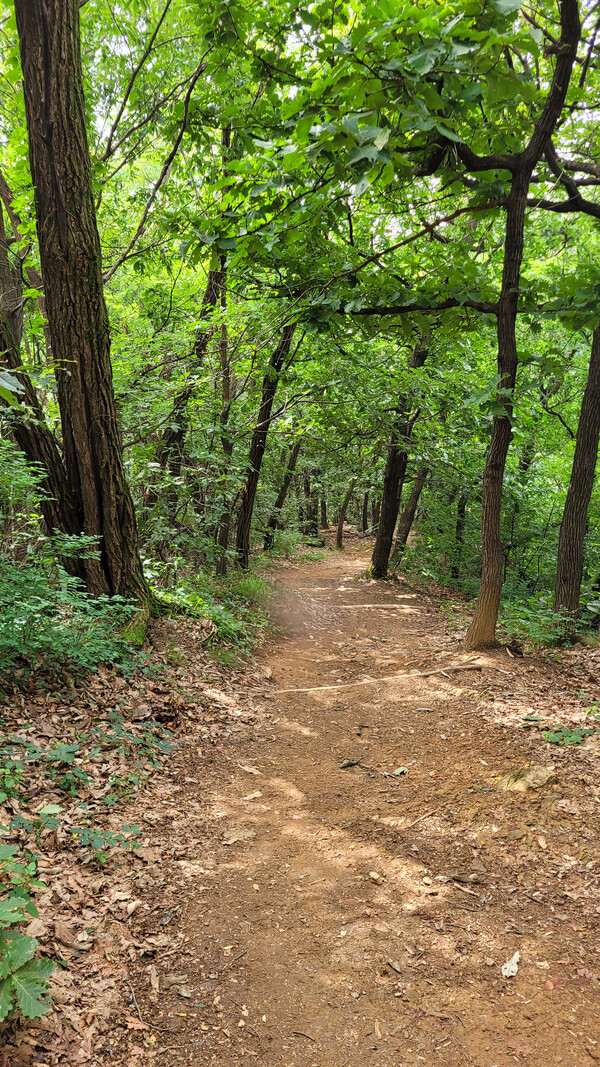 앵봉생태길 전경. 사진 = 안병국 객원기자