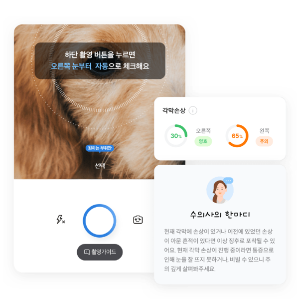 삼성화재의 '착!한펫' 서비스. 사진=삼성화재