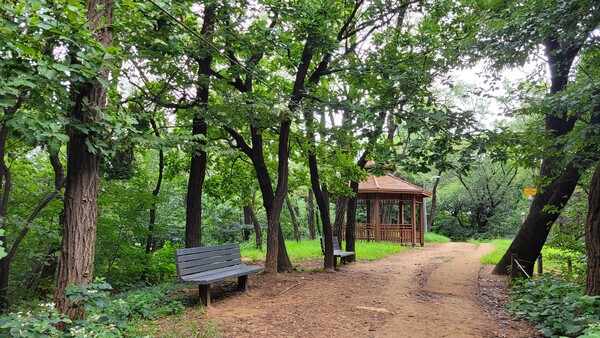 까치산길 풍경. 사진 = 안병국 객원기자