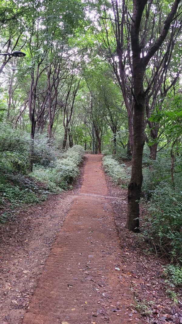 까치산길 풍경. 사진 = 안병국 객원기자