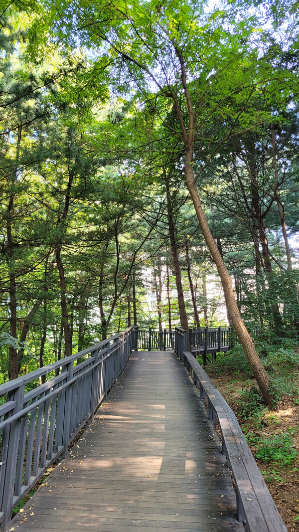 용마산자락길 전경. 사진 = 안병국 객원기자