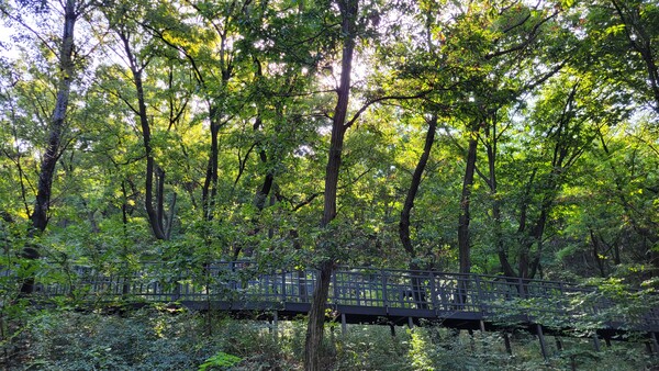 용마산자락길 전경. 사진 = 안병국 객원기자