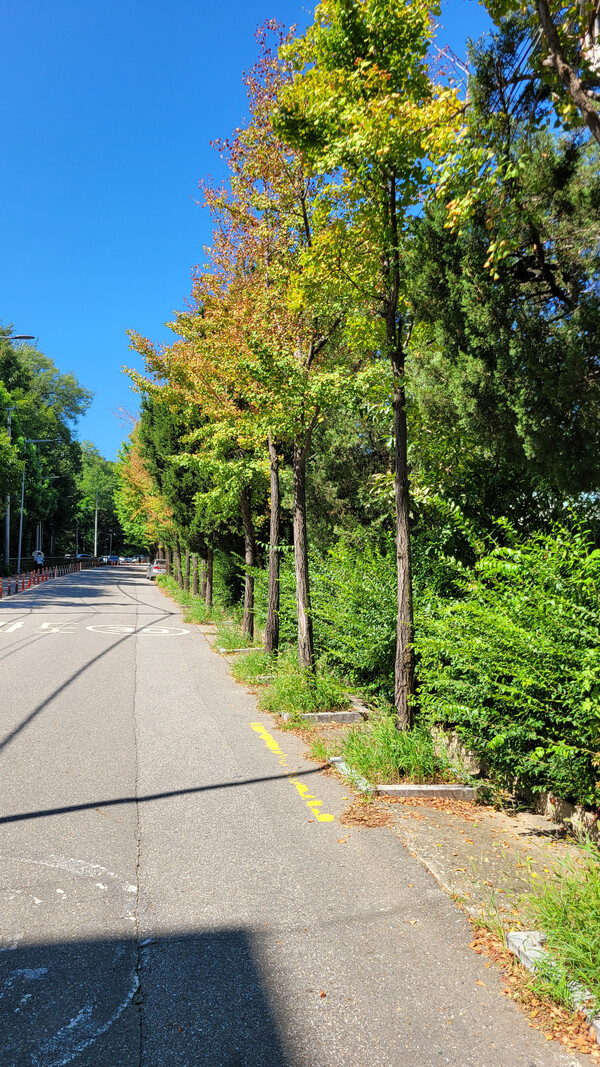 둘레길 입구 도로길 풍경. 사진 = 안병국 객원기자 