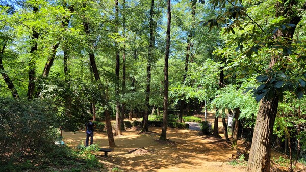 수명산둘레길 풍경. 사진 = 안병국 객원기자 