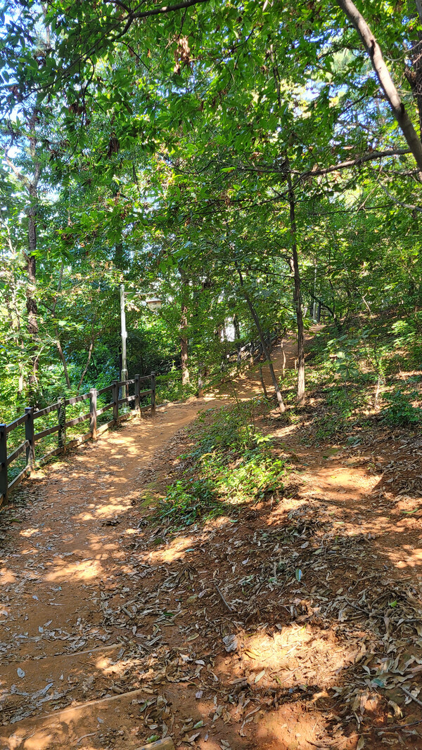 수명산둘레길 풍경. 사진 = 안병국 객원기자 
