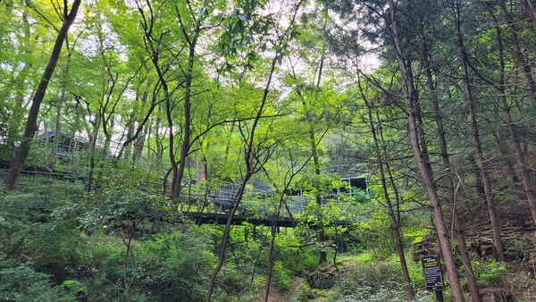 남산자락숲길 풍경
