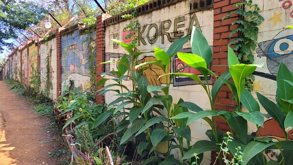 용마산 정상 돌담 풍경. 사진 = 안병국 객원기자 