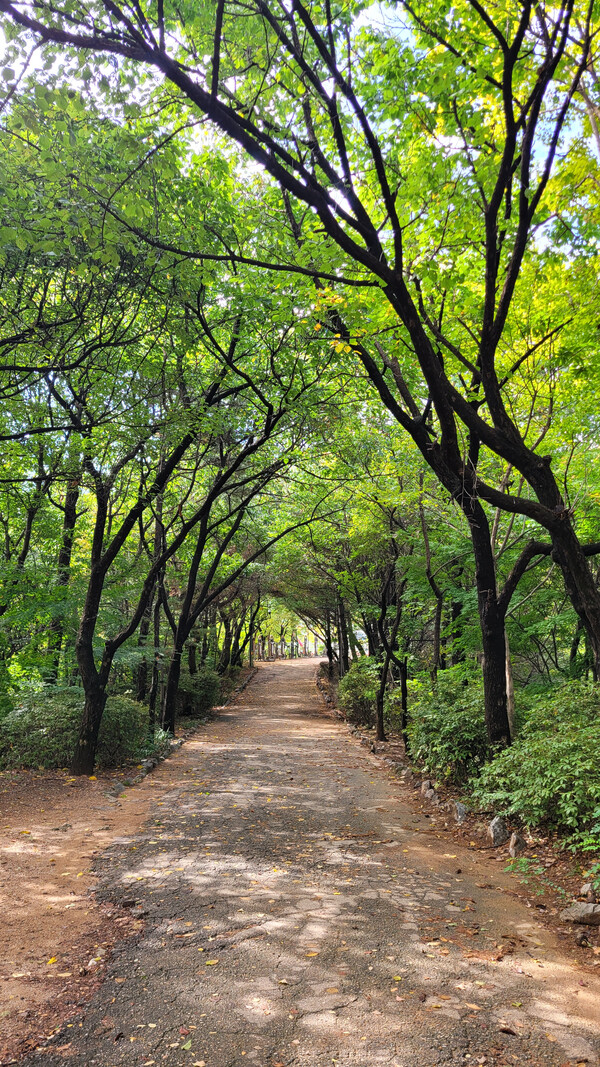 노량진길 전경. 사진 = 안병국 객원기자 