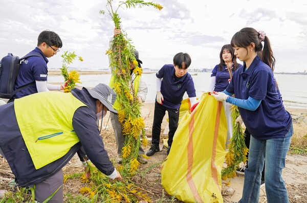 HS효성첨단소재가 29일 오후 충청남도 서천군 유부도에서 생태계 교란 식물 제거 활동과 해양 쓰레기 수거 등 환경보전 활동을 진행하는 모습. 사진=HS효성