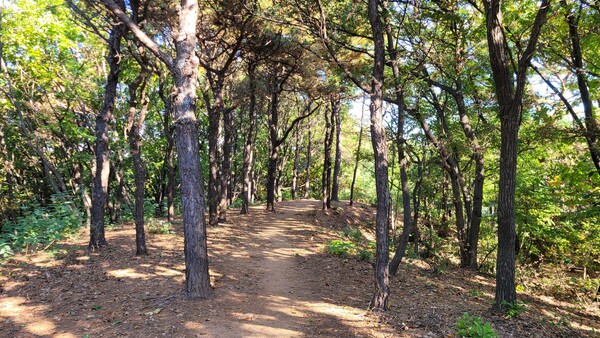 구로올레길 전경. 사진 = 안병국 객원기자