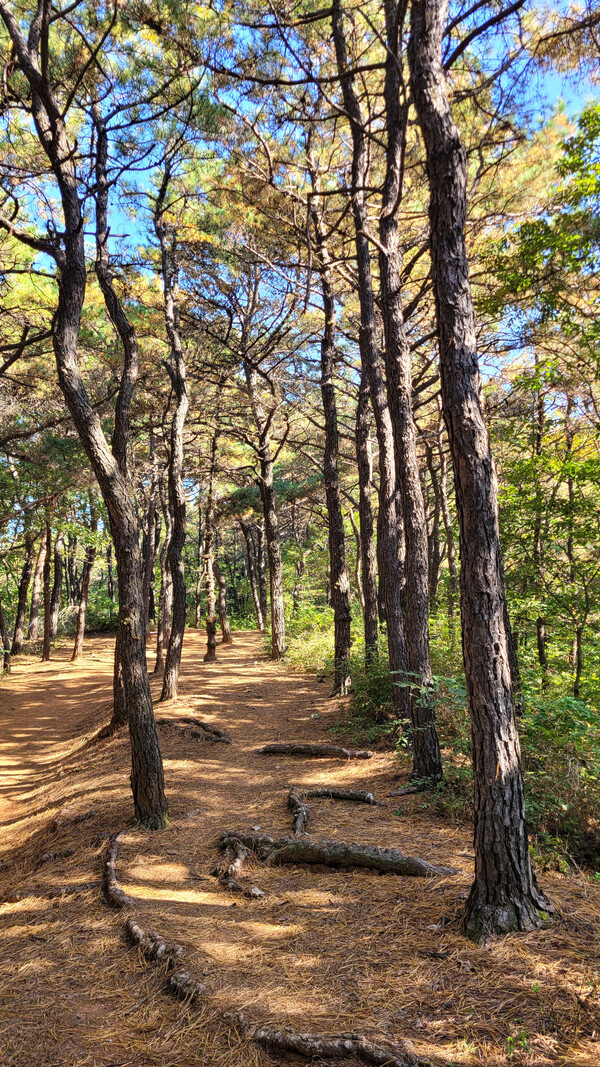 구로올레길 전경. 사진 = 안병국 객원기자