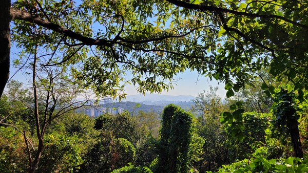 숲길 사이로 얼굴을 내민 천왕산과 관악산. 사진 = 안병국 객원기자