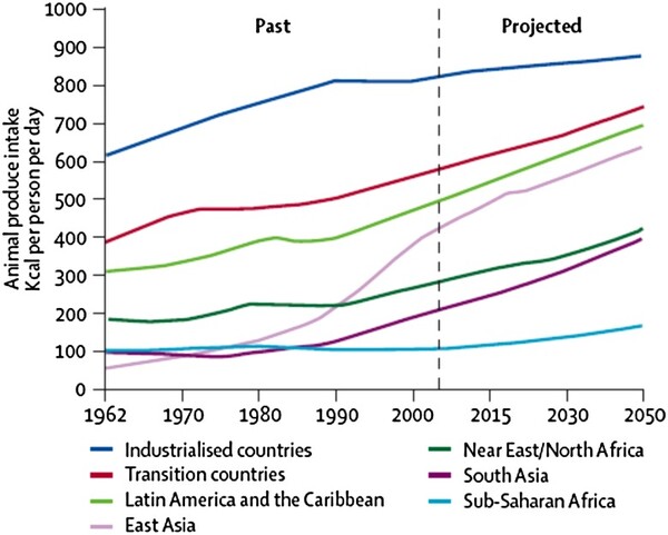 육류(축산) 세계 소비 트렌드. 출처='적색 및 가공 육류 소비의 사회경제적, 인구통계학적 동인: 건강 및 환경 지속 가능성에 미치는 영향' 연구 보고서 내 갈무리