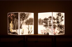 사진=DB금융투자.