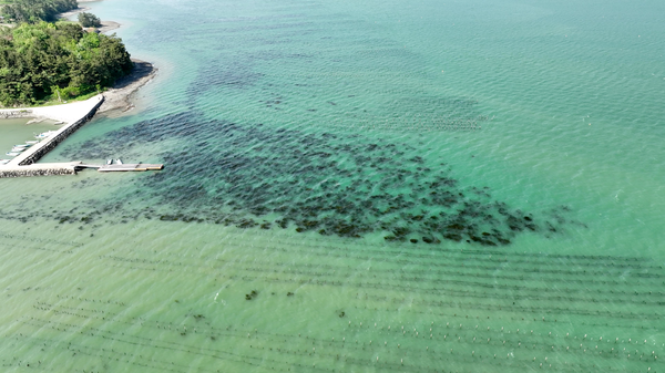 사진=KB국민은행