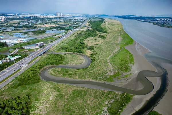 람사르 고양장항습지 전경. 사진=고양특례시.