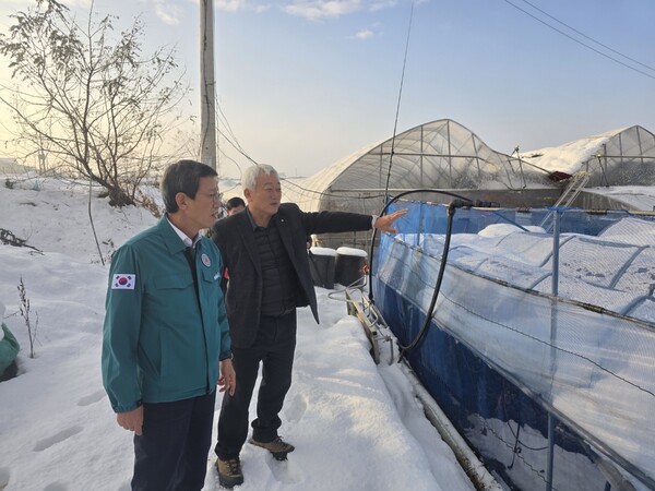 29일 폭설과 강풍으로 피해가 발생한 수원 시설하우스를 방문한 윤해진 NH농협생명 대표이사(사진 왼쪽)가 피해현장을 점검고 있다. 사진=NH농협생명