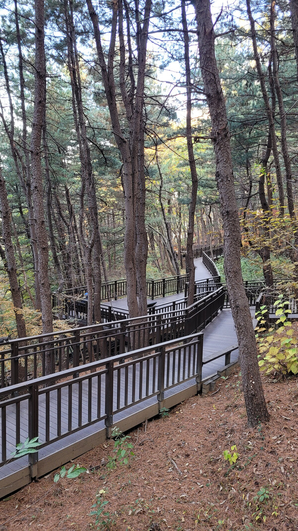 우면산 무장애숲길 전경. 사진=안병국 객원기자