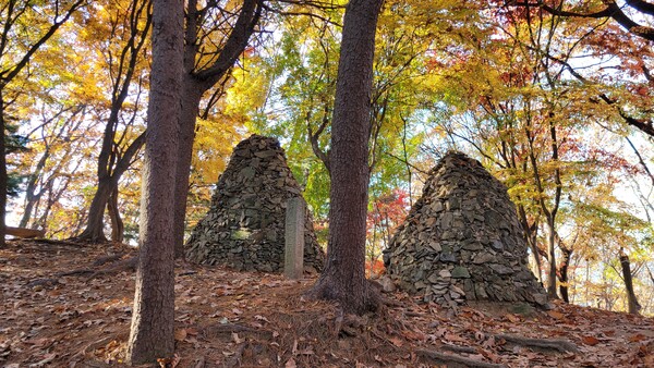우면산둘레길 전경. 사진=안병국 객원기자