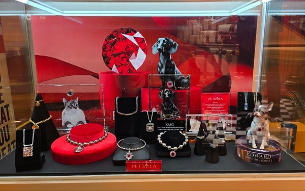 펫츠비아 도프너팝업스토어. 사진=보람그룹