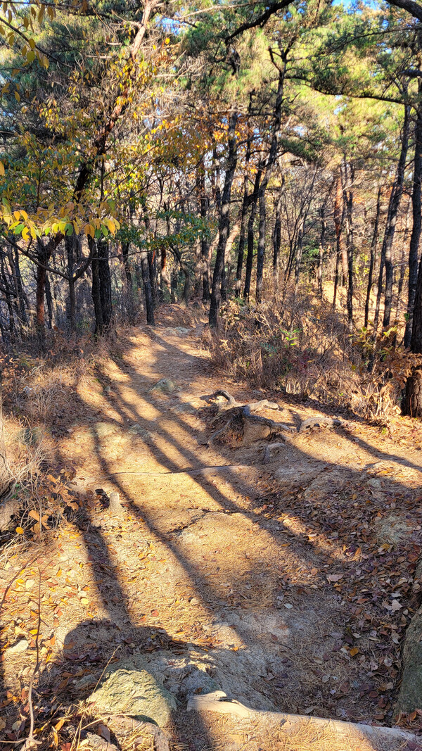 관악산둘레길 전경. 사진=안병국 객원기자