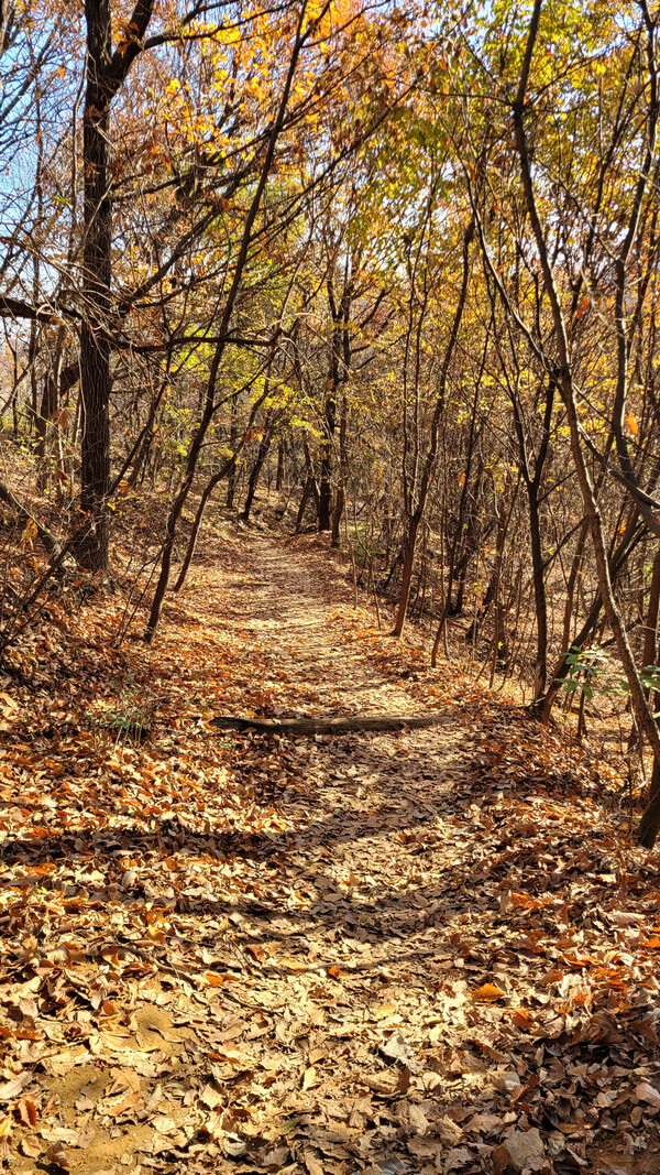 관악산둘레길 전경. 사진=안병국 객원기자