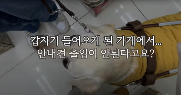 사진=허우령 유튜브 채널 캡처