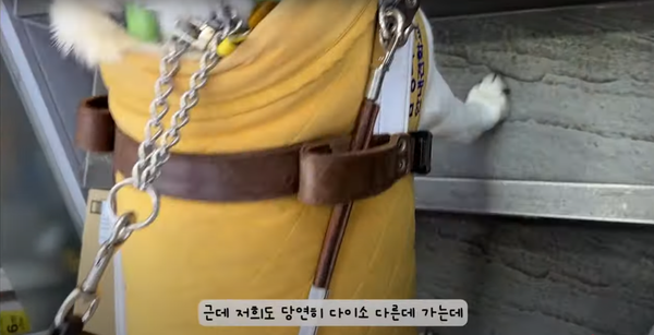 사진=허우령 유튜브 채널 캡처