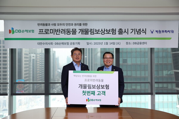 사진=DB손해보험