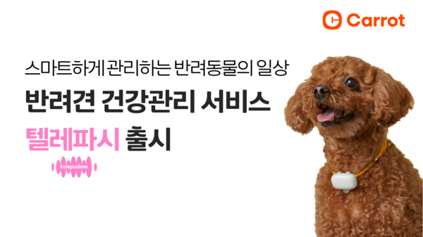 사진=캐롯손해보험