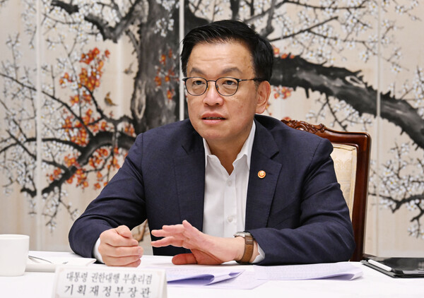 14일 정부서울청사에서 열린 대외경제현안간담회에서 최상목 대통령 권한대행 부총리 겸 기획재정부 장관이 발언하고 있다. 사진=연합뉴스