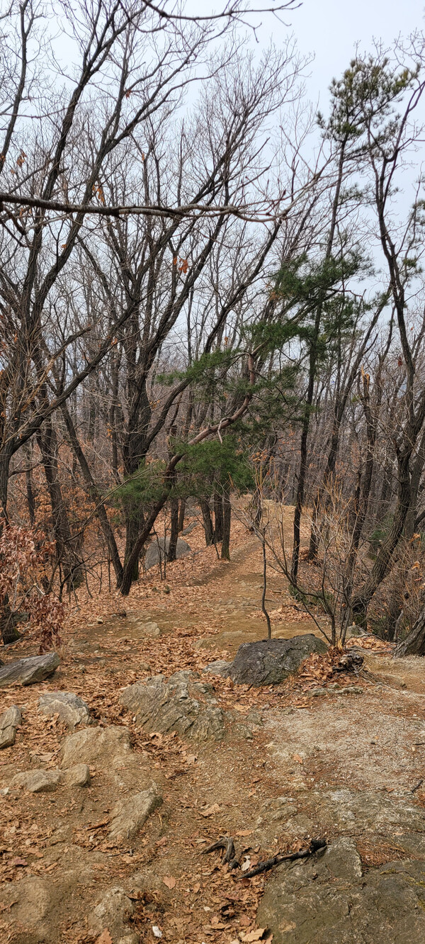 구룡산둘레길 전경. 사진=안병국 객원기자