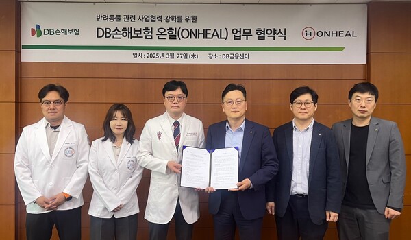 사진=DB손해보험