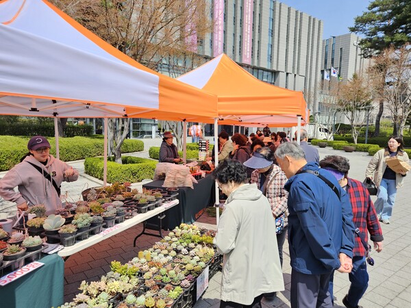 용인시 수지구청 광장에서 열린 로컬푸드 직거래장터 모습. 사진=용인시
