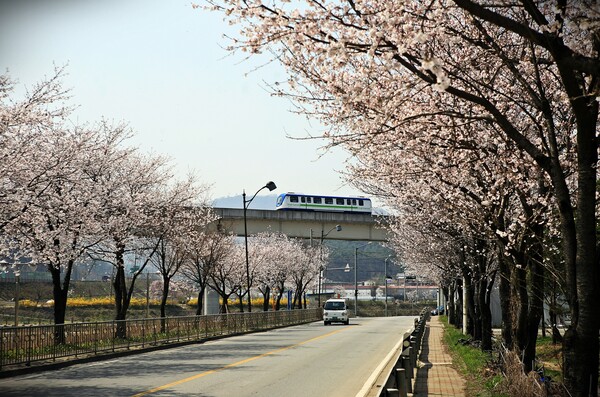 용인경전철 운행 모습. 사진=용인시