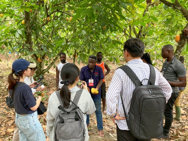 지난해 10월 아프리카 가나 현지를 방문해 현지 농가 점검하며 지속가능 카카오 원두 프로젝트를 진행하고 있다. 사진=롯데웰푸드