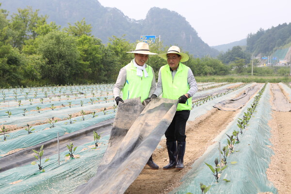사진=농협중앙회.