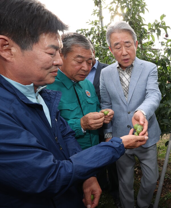강호동 농협중앙회장(오른쪽)이 경남 밀양의 우박 피해 농가를 찾아 피해상황을 점검하고 있다. 사진=농협