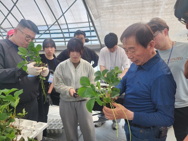 사진=농협중앙회.