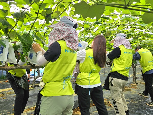 사진=NH농협카드