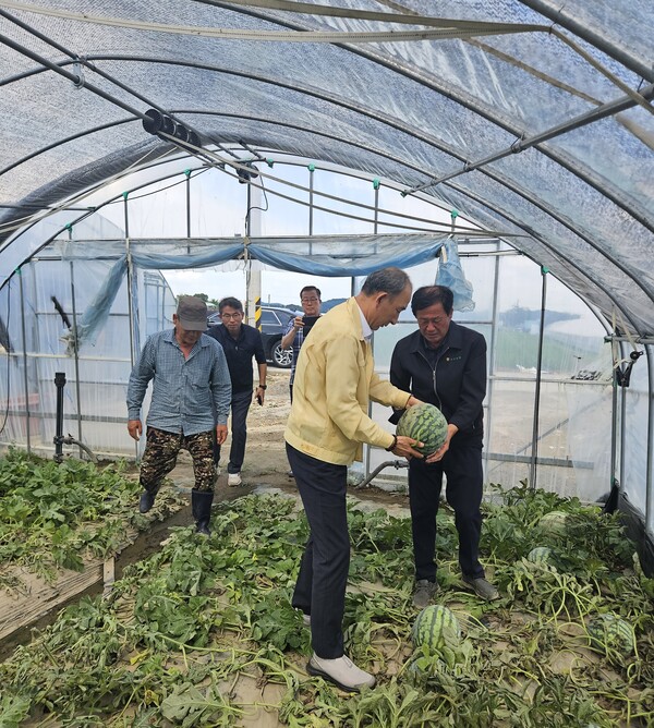 사진=NH농협생명