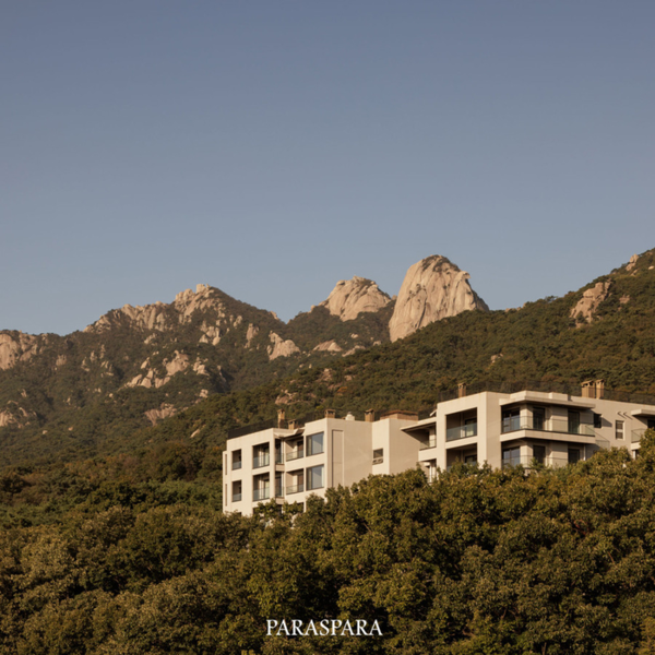 사진=파라스파라