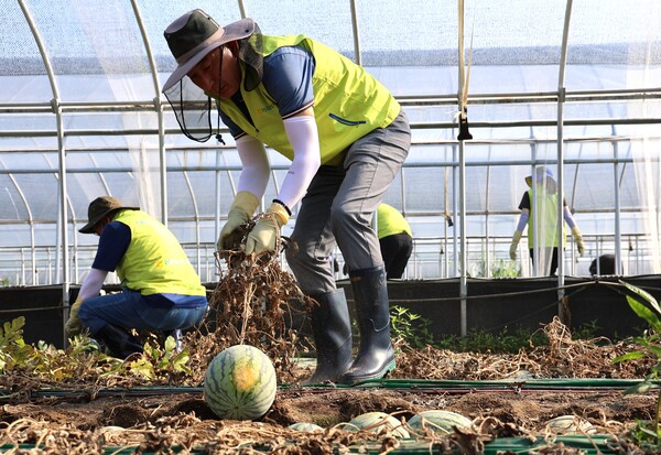 사진=NH농협생명