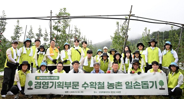 사진=NH농협손해보험