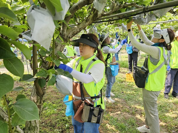 사진=농협중앙회